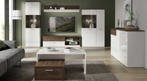 Witryna RAIDON RQNV711L